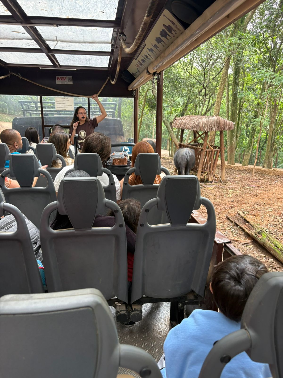 Zoo São Paulo + Simba Safari: um dia completo de animais para famílias